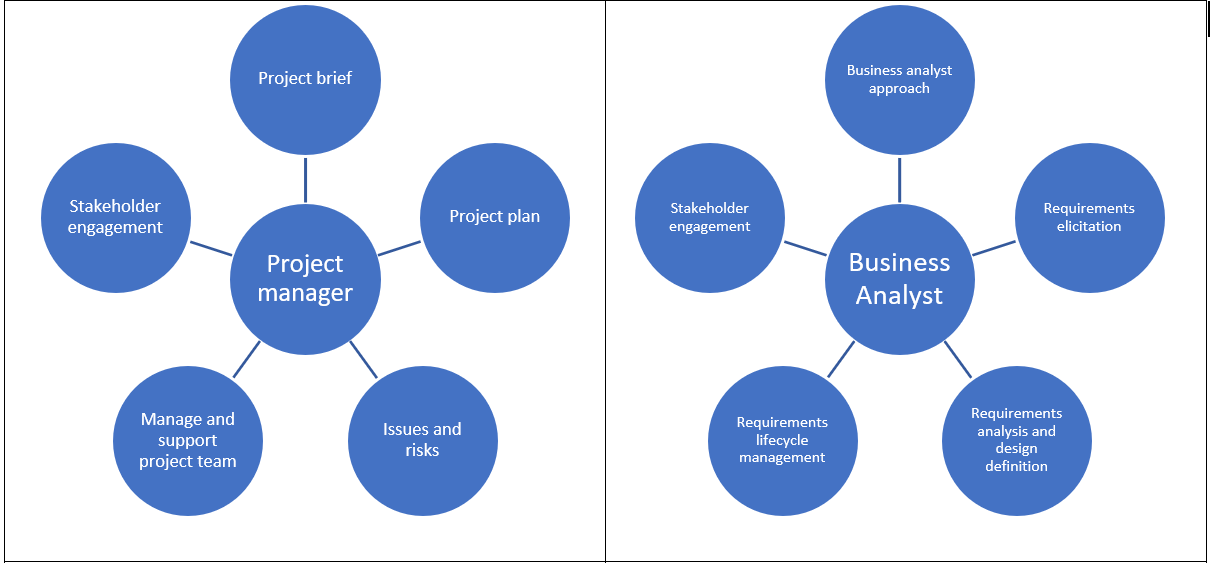 Business Analyst and Project Manager collaboration | Business Bullet